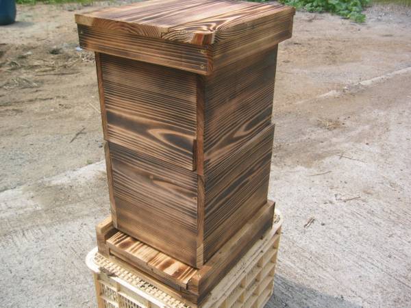 スライド式日本蜜蜂飼育用巣箱 ミツバチ大好き2段目にも巣門