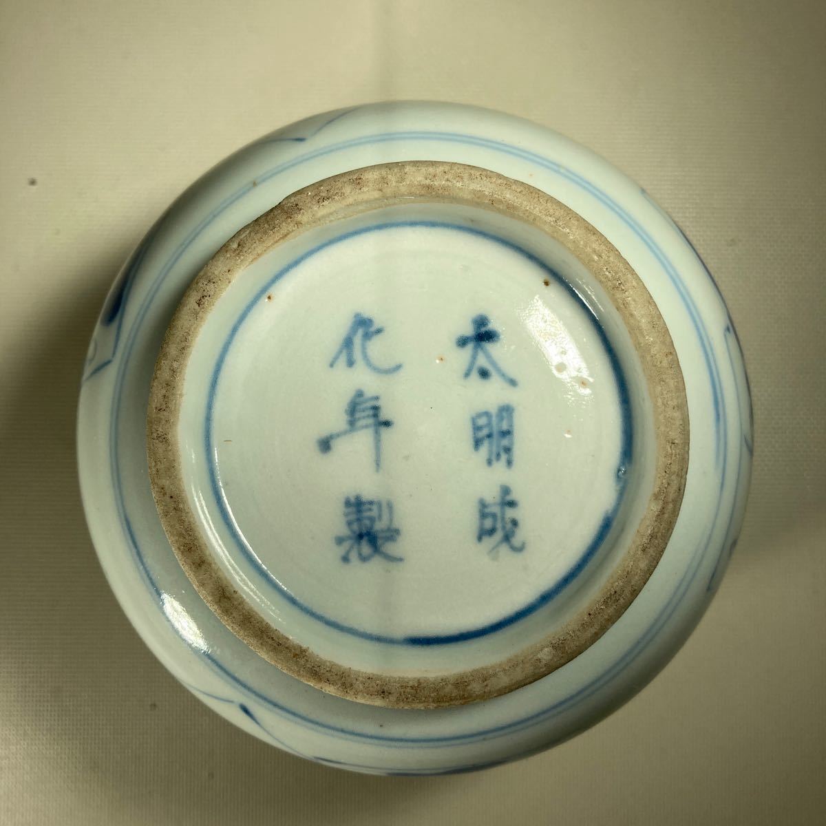 古伊万里 太明成化年製 染付 大皿 骨董 輪花型楕円変形