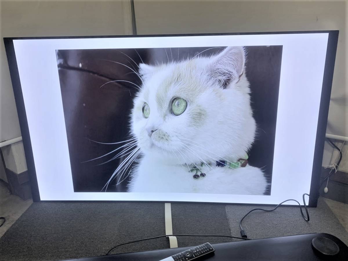 展示品】LG SIGNATURE 有機ELTV OLED65W7P 65V型 65インチ 壁掛け専用
