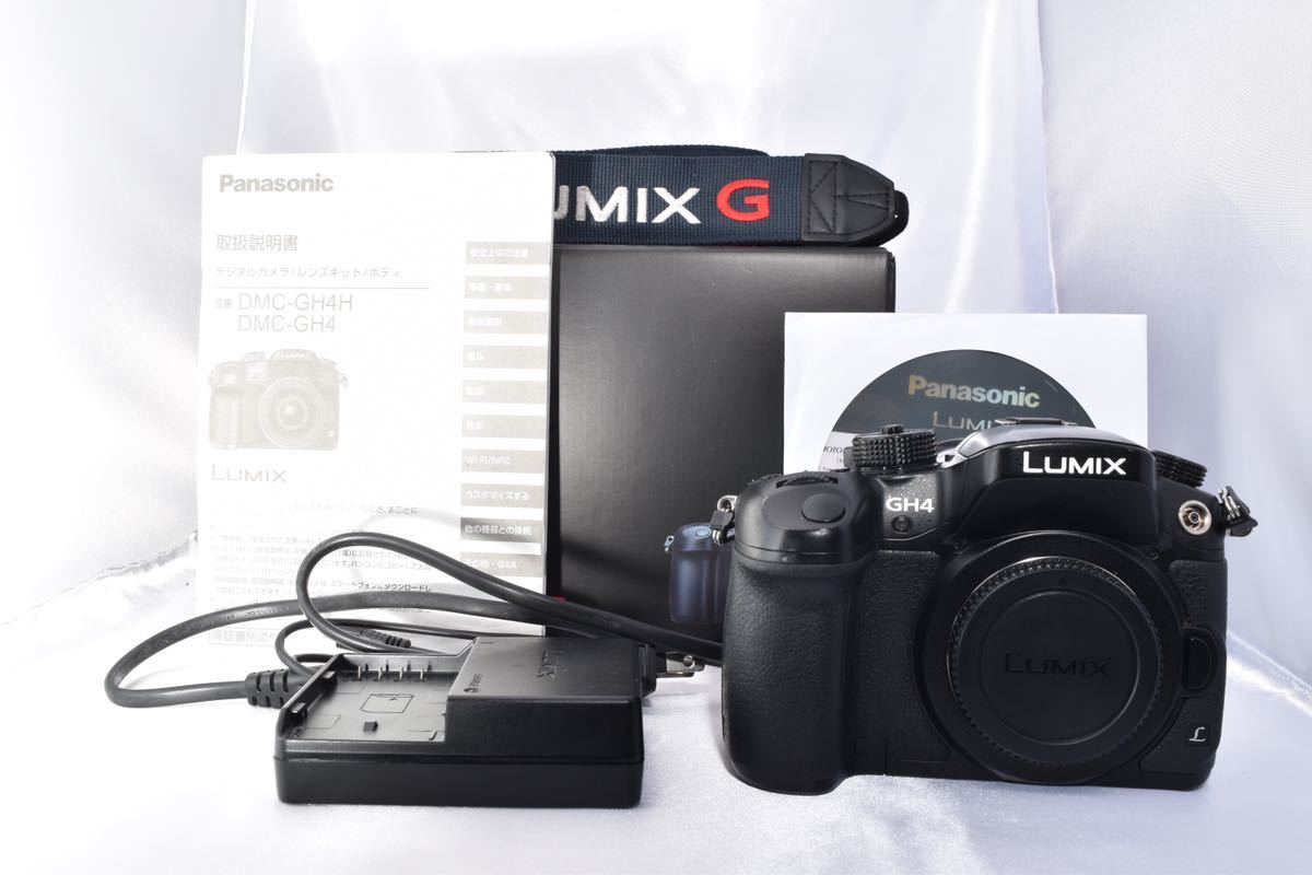 パナソニック LUMIX □極上品□ ☆極上美品☆ 標準 LUMIX（ルミックス 