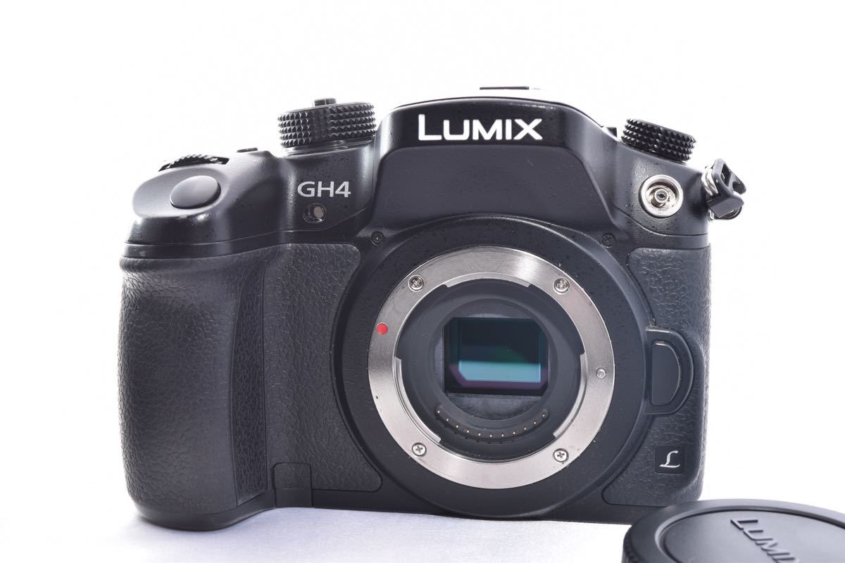 パナソニック LUMIX □極上品□ ☆極上美品☆ 標準 LUMIX（ルミックス 