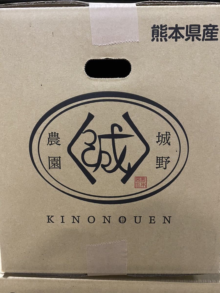 熊本県産 大玉スイカ 希少品種 1番荷 羅王theスウィート 秀M！！