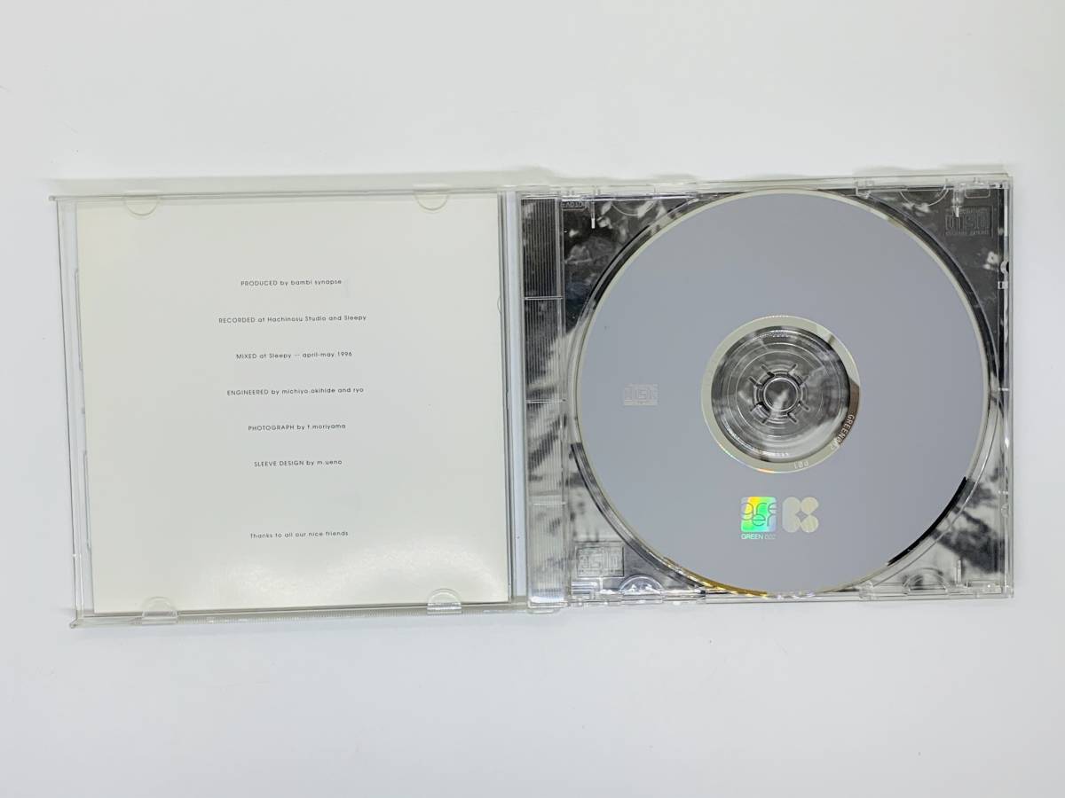 即決CD bambi synapse weather forecast / lotus , stone , jet slope 