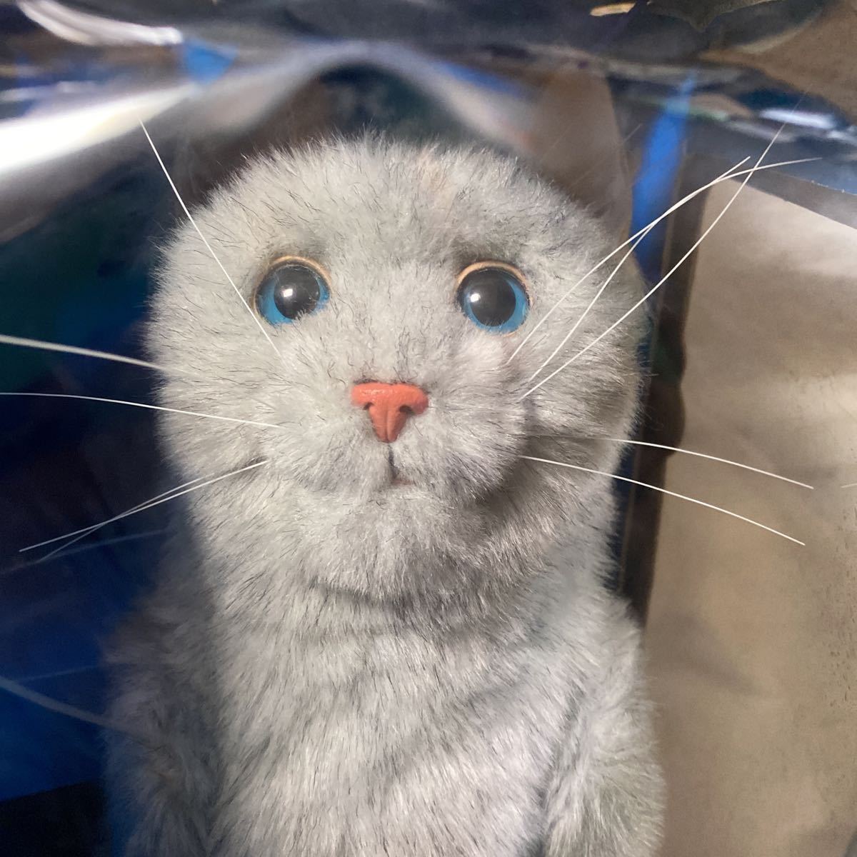 セガトーイ 夢ねこスマイル グレー シルバー ぬいぐるみ グレー|猫 猫