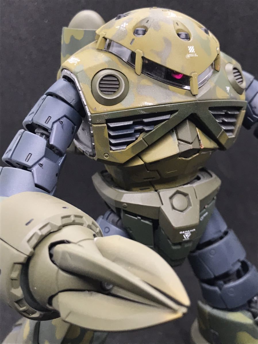 ガンプラ 塗装完成品 Rg 1 144 Ms 07s Zgok ズゴック 迷彩塗装 完成品 売買されたオークション情報 Yahooの商品情報をアーカイブ公開 オークファン Aucfan Com