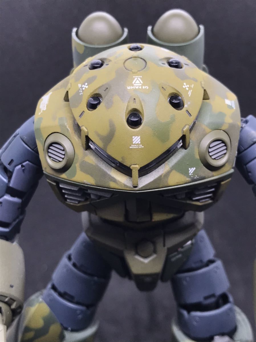 ガンプラ 塗装完成品 Rg 1 144 Ms 07s Zgok ズゴック 迷彩塗装 完成品 売買されたオークション情報 Yahooの商品情報をアーカイブ公開 オークファン Aucfan Com