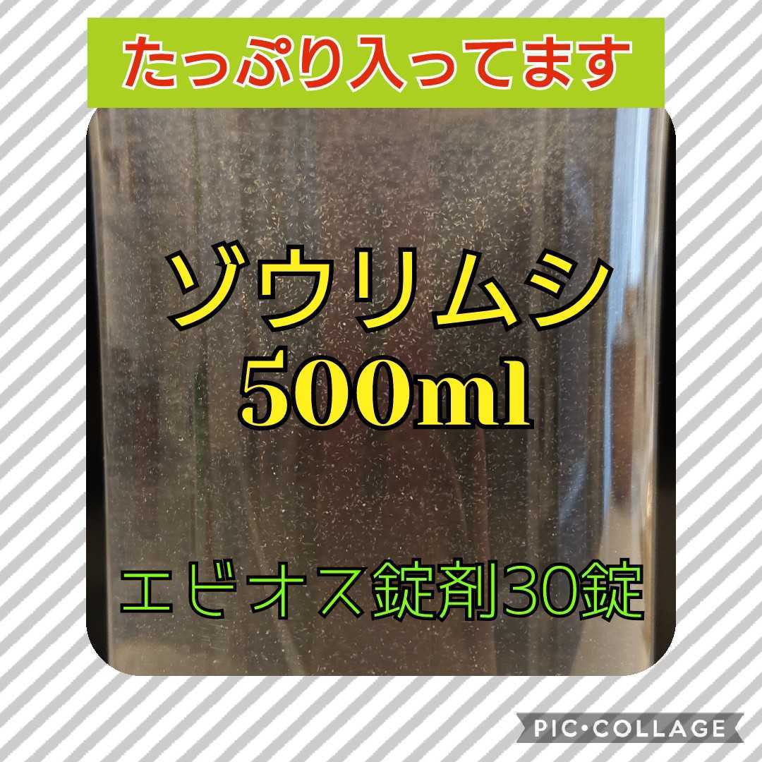 ゾウリムシ500ml エビオス錠剤30錠 メダカ 針子 幼魚のエサに めだか 売買されたオークション情報 Yahooの商品情報をアーカイブ公開 オークファン Aucfan Com ゾウリムシ500ml エビオス錠剤30錠 メダカ 針子 幼魚のエサに めだか 売買されたオークション情報 Yahooの商品情報をアーカイブ公開 オークファン Aucfan Com