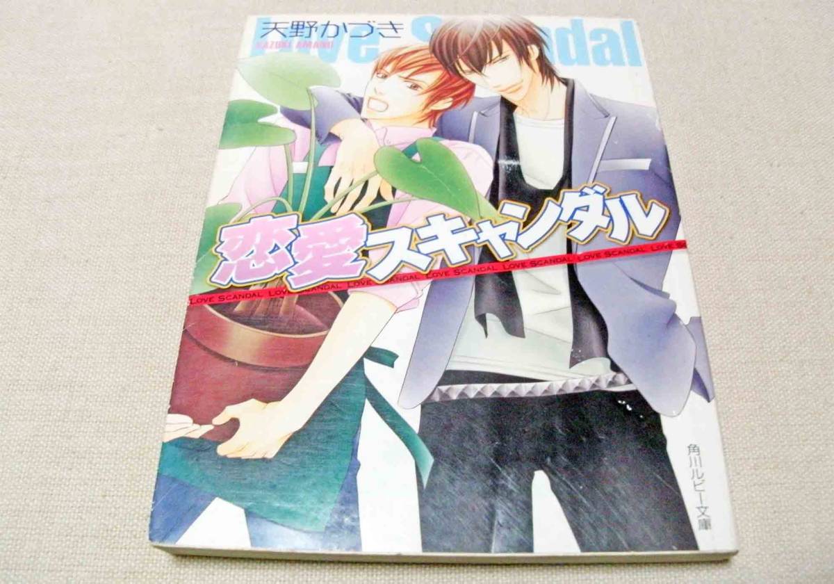 Bl 小説 少々難 角川書店 ルビー文庫 恋愛スキャンダル 天野かづき先生 挿絵 海老原由里先生 初版 文庫 売買されたオークション情報 Yahooの商品情報をアーカイブ公開 オークファン Aucfan Com