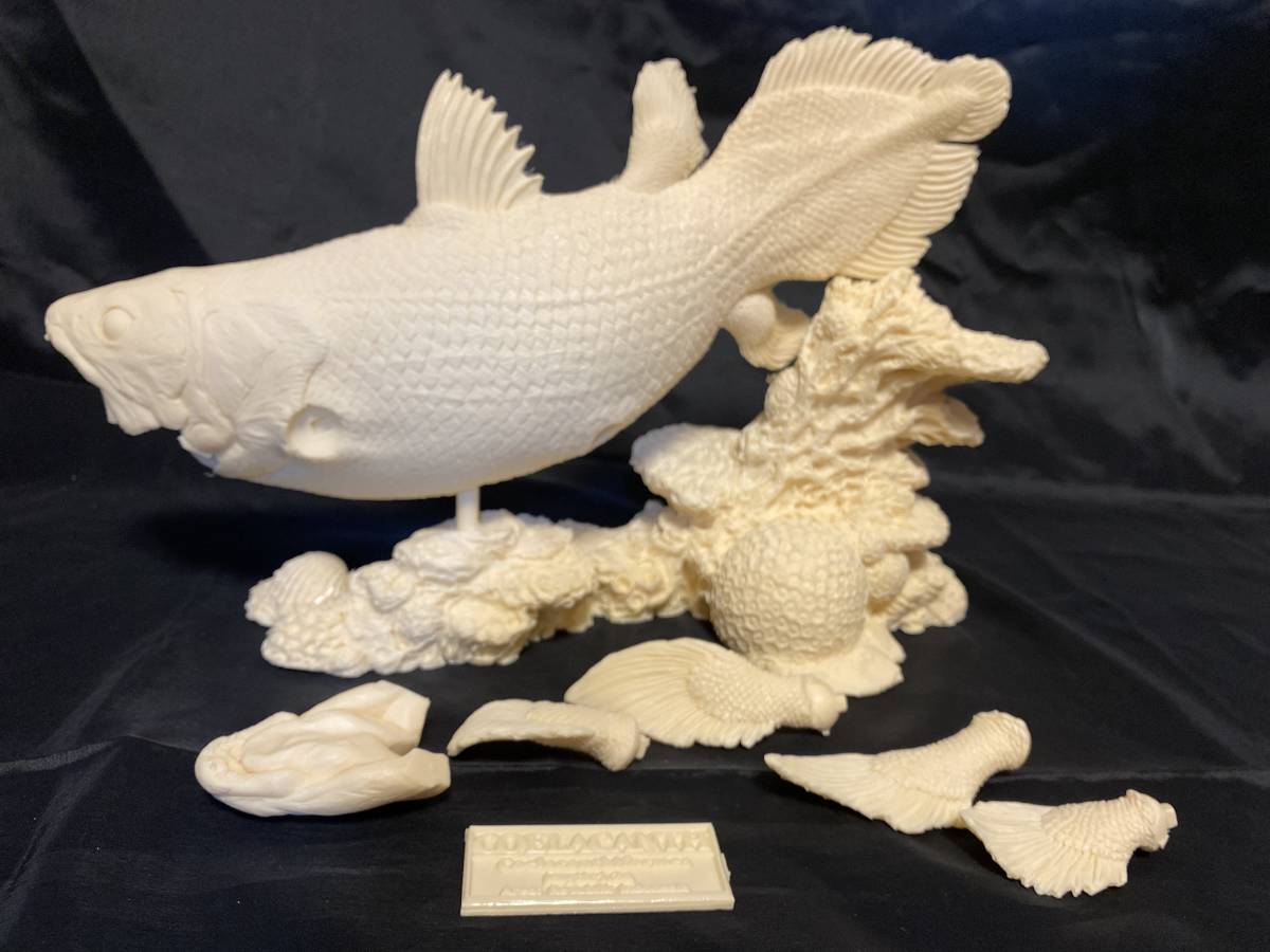 原色淡水魚図鑑Ⅰ.Ⅱ[改訂版]コレクションボックス 原色淡水魚図鑑Ⅰ