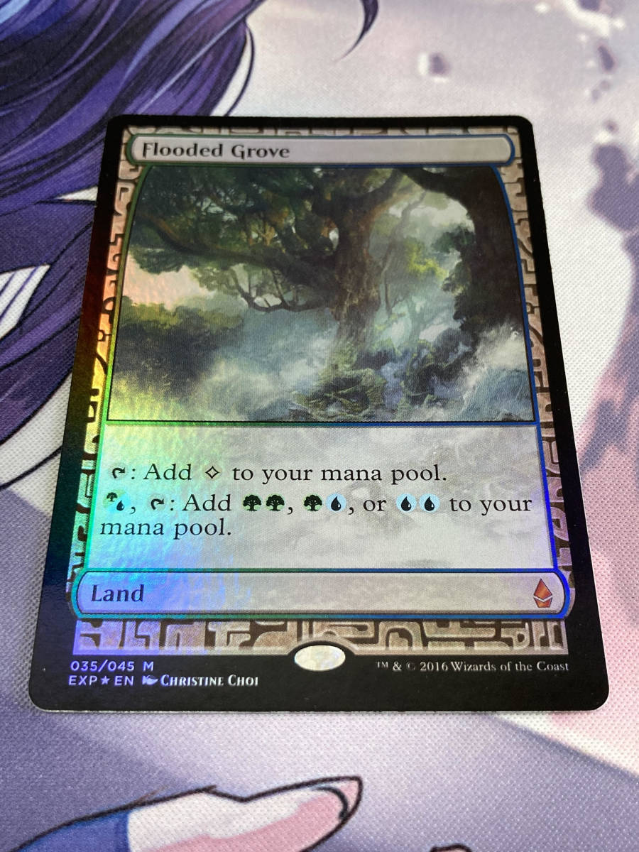 MTG 《溢れかえる果樹園/Flooded Grove》【foil】 EXP 英語 土地R MTG