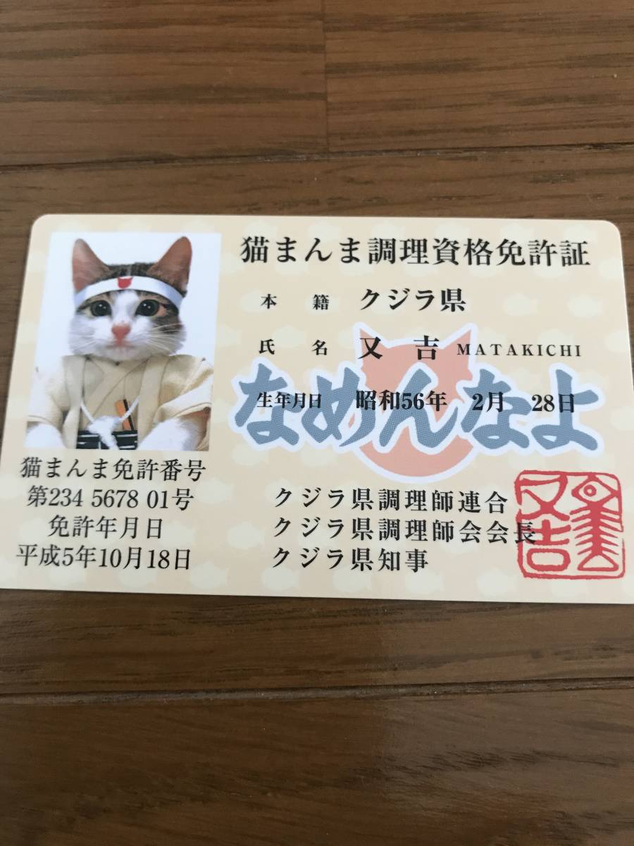 なめんなよ なめ猫 カード パロディ カードコレクション ねこまんま 免許証 品 雑貨 売買されたオークション情報 Yahooの商品情報をアーカイブ公開 オークファン Aucfan Com