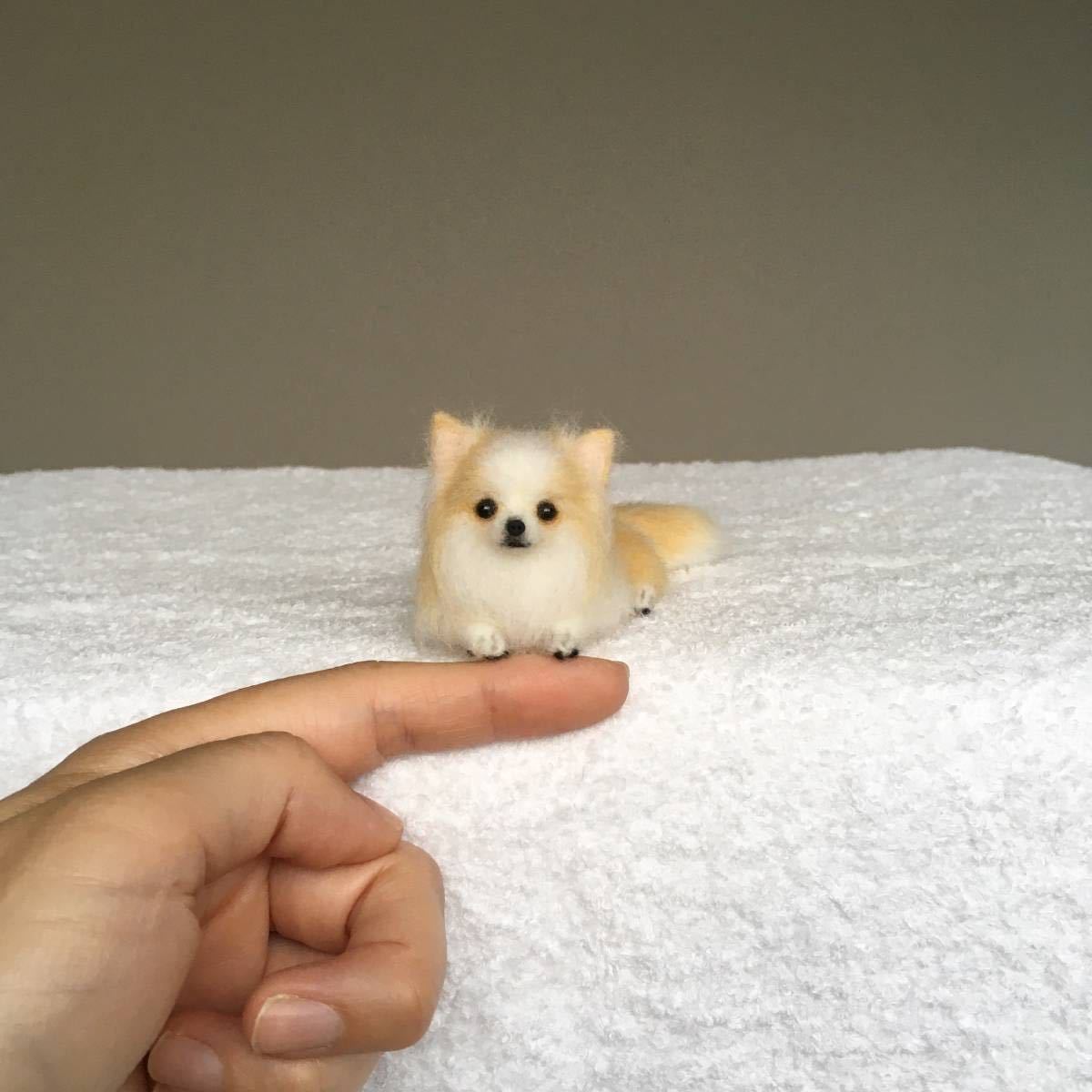 羊毛フェルト ぴのきち 4 0cmのクリームチワワちゃん 犬 チワワ ロングコートチワワ ハンドメイド ドールハウス ブライス 羊毛フェルト 売買されたオークション情報 Yahooの商品情報をアーカイブ公開 オークファン Aucfan Com