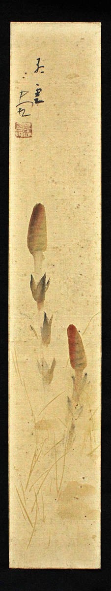 お買い得，人気 山本紅雲 絵短冊 土筆 明治昭和期の画家 0470(山水、風月)｜売買されたオークション情報、yahooの商品情報をアーカイブ公開 - オークファン 山水、風月