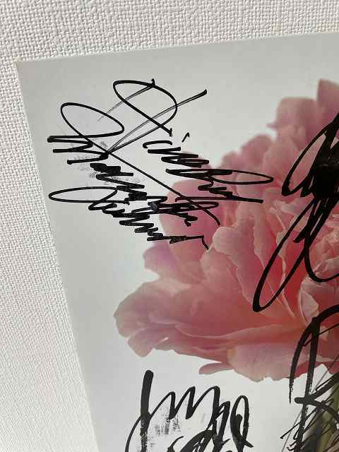 ☆ 直筆サイン サザンオールスターズ 全メンバー署名サイン レコードLP