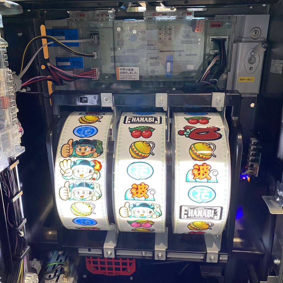 ☆ 【直接引取限定】エレコ 緑ドンviva 情熱南米編家庭用電源 スロット