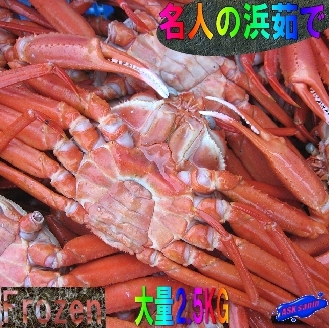 最安値，お得 3箱 名人の 浜茹 蟹Lサイズ5kg以上 -入り数不定-ボイル冷凍品 山陰境港産... 冷凍紅蟹A-5kg(ズワイガニ)｜売買されたオークション情報、yahooの商品情報をアーカイブ公開 - オークファン ズワイガニ