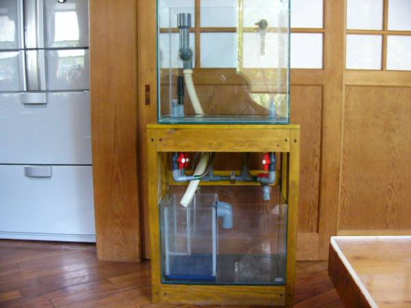 自作45x30x45ガラス オーバーフロー水槽 45cm 売買されたオークション情報 Yahooの商品情報をアーカイブ公開 オークファン Aucfan Com 自作45x30x45ガラス オーバーフロー水槽 45cm 売買されたオークション情報 Yahooの商品情報をアーカイブ公開 オークファン Aucfan Com