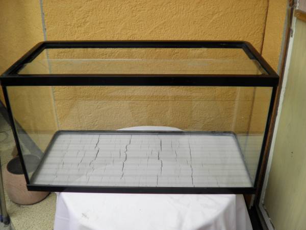 NISSO（ニッソー） 75cm ガラス水槽！(60cm～)｜売買された