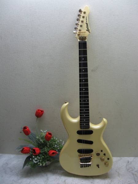 aria pro ii rs esprit