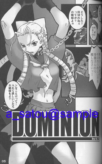 春麗 神月かりん ストリートファイター ぶるがり屋 対戦格闘 売買されたオークション情報 Yahooの商品情報をアーカイブ公開 オークファン Aucfan Com