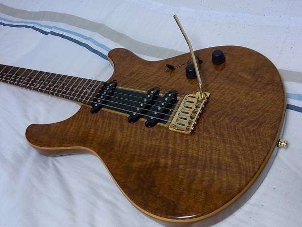 T's Guitar製】 Stafford T-bird 【国産最高峰】(本体)｜売買された