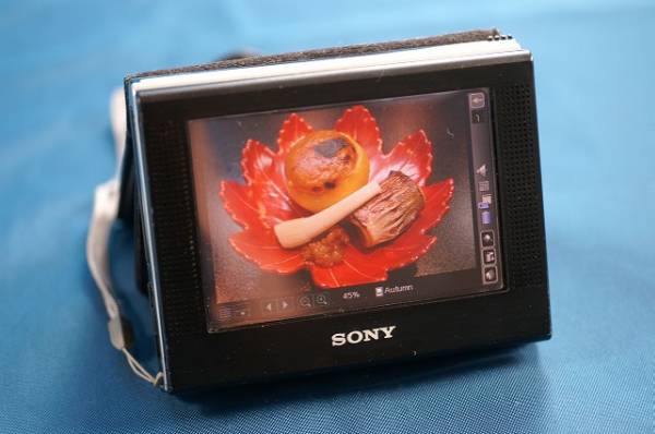 ☆SONY 「CLIE PEG-VZ90」有機ELディスプレー ジャンク☆(CLIE)｜売買