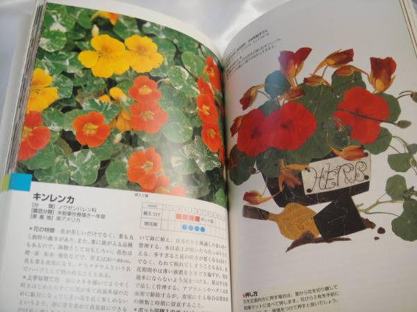 押し花花図鑑 植物解説 押し方とコラージュ付 押し花 本 押し花 売買されたオークション情報 Yahooの商品情報をアーカイブ公開 オークファン Aucfan Com