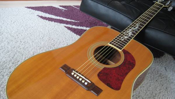 WASHBURN D95LTD 米製 単板ドレッドノート(本体)｜売買された 