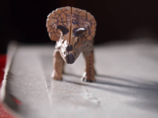 チョコラザウルス第１弾　トリケラトプス_2