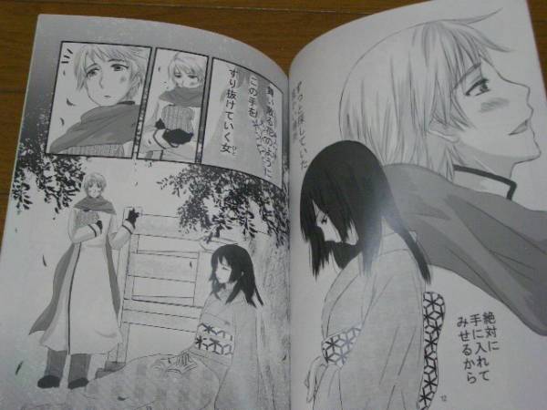 ☆ヘタリア同人誌/再録本壱/dream leaf/にょたりあ日総受(ヘタリア