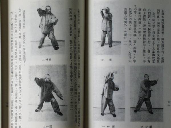 八卦遊身掌 王樹金 八卦連環掌 entityさん専用 王樹金老師直系 王樹金