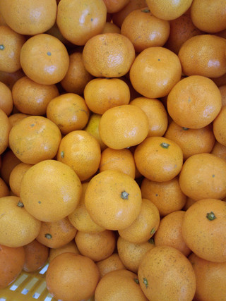 目玉飛び出た１０K送料・箱代無料有田みかん（訳有・・小粒）_2