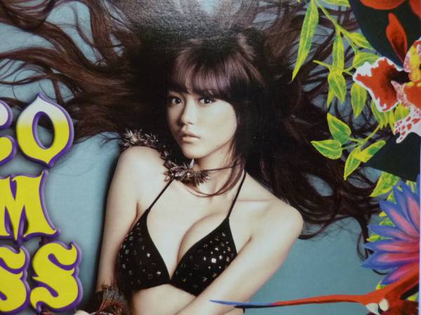 桐谷美玲 ビキニ表紙 ｐａｒｃｏ水着キャンペーンカタログ タレントグッズ 売買されたオークション情報 Yahooの商品情報をアーカイブ公開 オークファン Aucfan Com