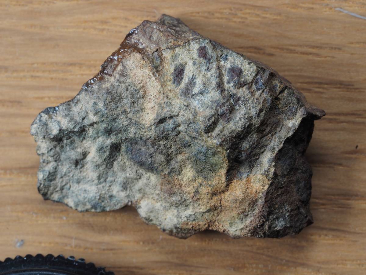 m0050 石質隕石 詳細不明（Shisr 010と思われる） 8.9gr 石質隕石