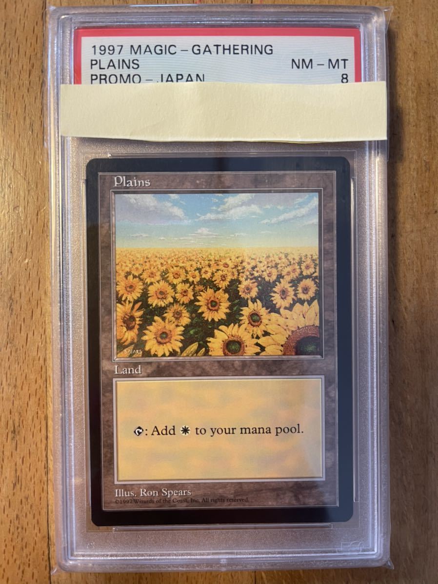 PSA8】MTG 平地 土地 ひまわり MTG APAC)Plains(日本 | - マジック：ザ
