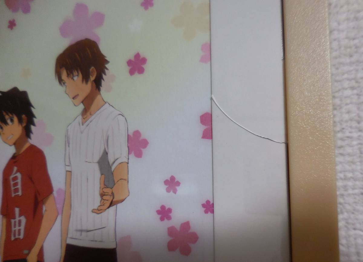 ☆あの日見た花の名前を僕達はまだ知らない B賞