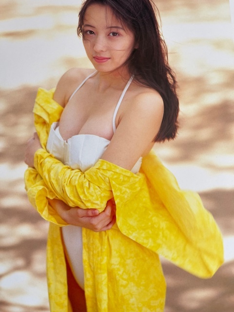 お宝 高橋由美子 ハイレグ水着グラビア 12P 切り抜きの …