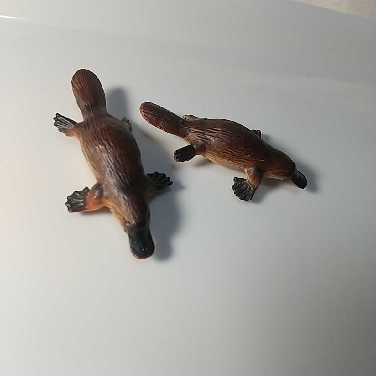 ミニチュアプラネット カモノハシ 2個セット フィギュア 生き物 売買されたオークション情報 Yahooの商品情報をアーカイブ公開 オークファン Aucfan Com