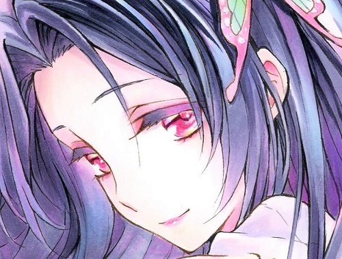 手描きイラスト　鬼滅の刃　＜　胡蝶カナエ　＞　花柱　同人　直筆　原画　Ａ４イラストボード
