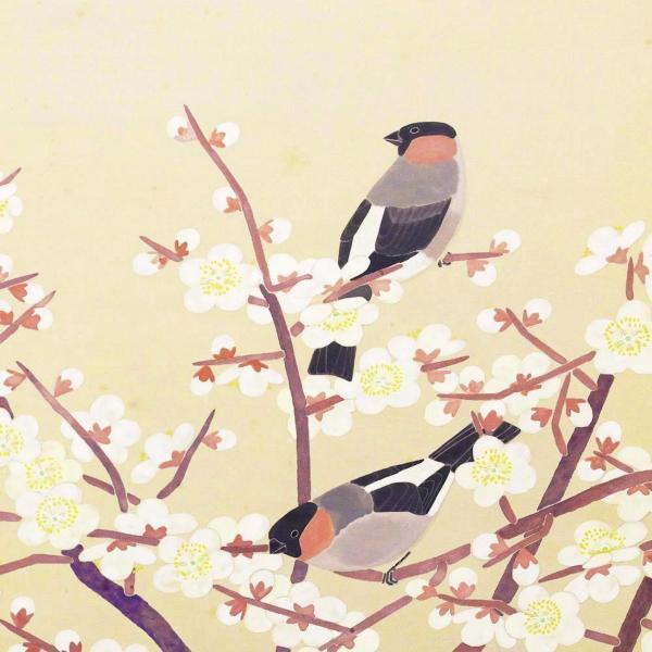 真作】【WISH】吉岡堅二「白梅」日本画 10号大 絹本 共板 ◇春