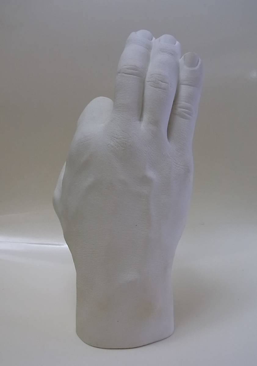 Reality - Hand by Harry Allen Design Offer allen harry Hook