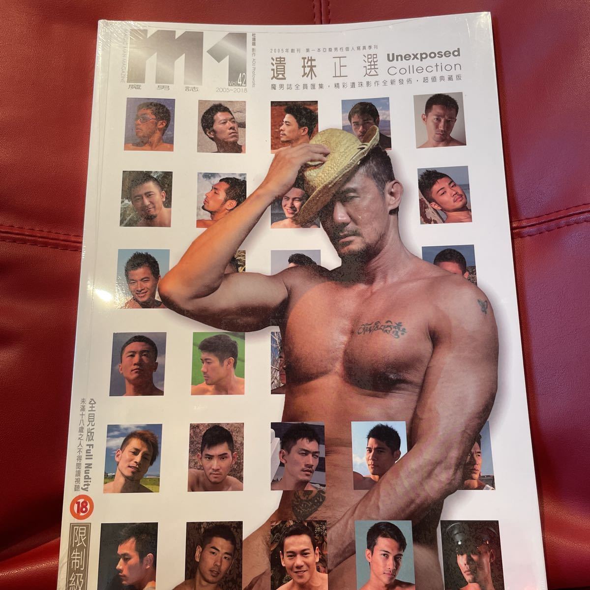 m1 男性 写真集 男性写真集 “ M1collection 2005～2018 ”（台湾製、未開封）(男性