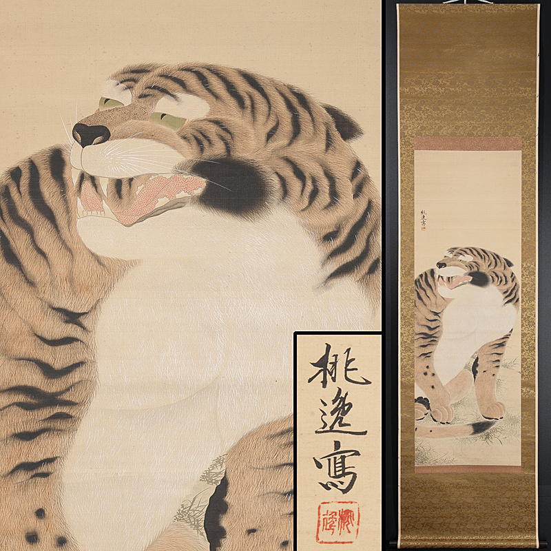 五】掛軸 虎図 絹本 彩色 在銘(桃逸) 箱付 掛軸 掛け軸 掛軸 円山