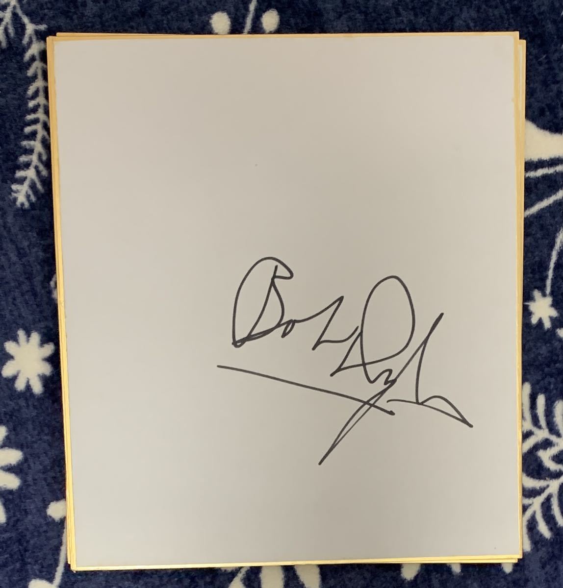 ボブ・ディランのサイン鑑定 r⁄bobdylan : Bob (analog) promo 