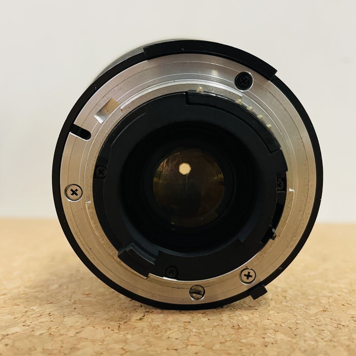 s1019130828.3