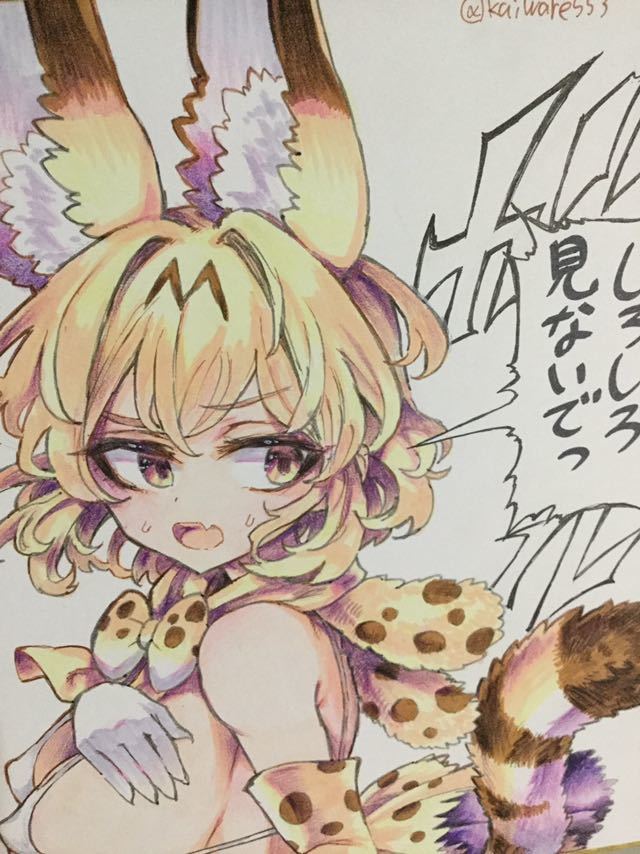 手描きイラスト けものフレンズ サーバルちゃん 色紙 手描きイラスト 売買されたオークション情報 Yahooの商品情報をアーカイブ公開 オークファン Aucfan Com