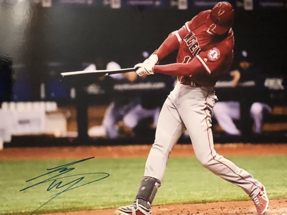 MLB 大谷翔平 エンゼルス 直筆サイン入りA4フォト 生写真 鑑定書 証明