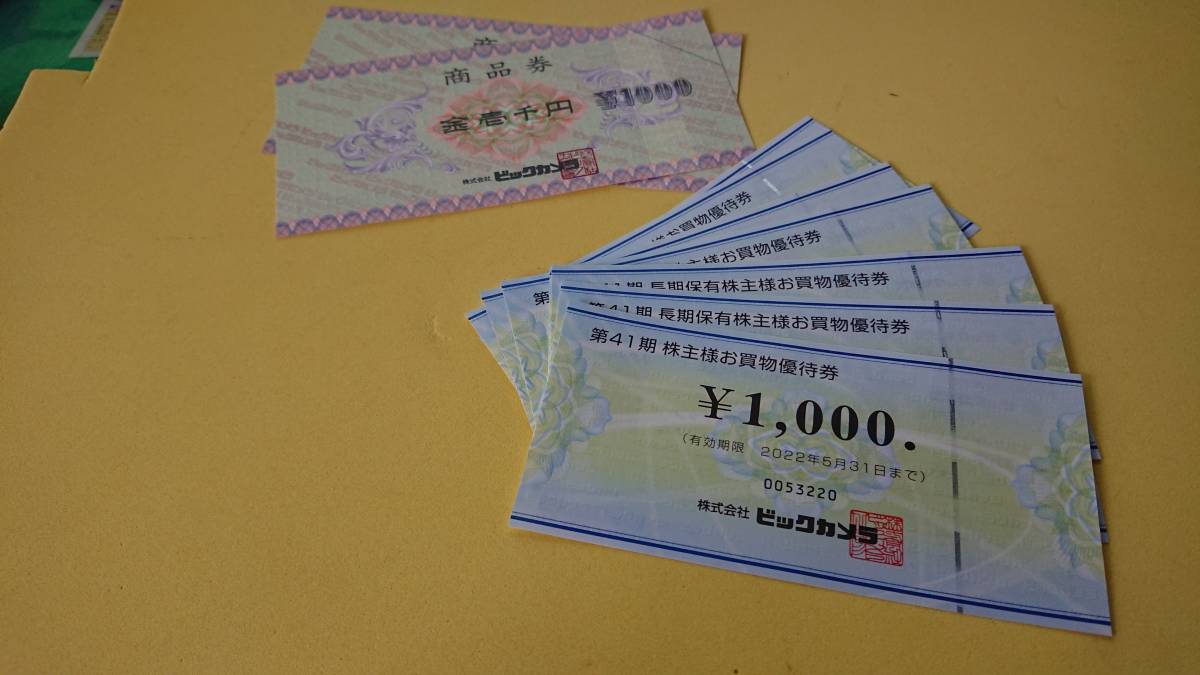 ☆ビックカメラ株主優待11，000円分 ゆうパケ込み - ビックカメラ 