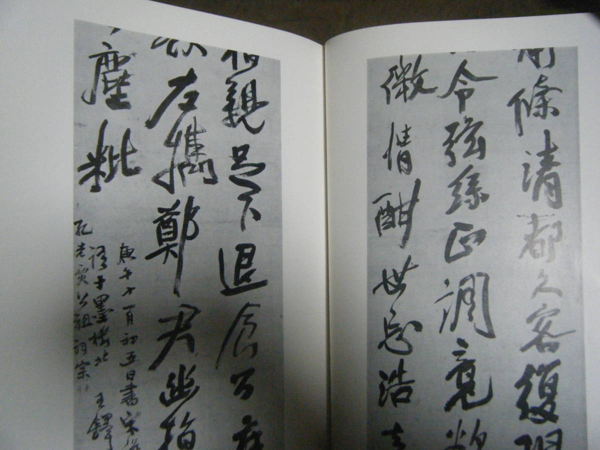 ☆王鐸の書法・条幅篇 村上三島 二玄社