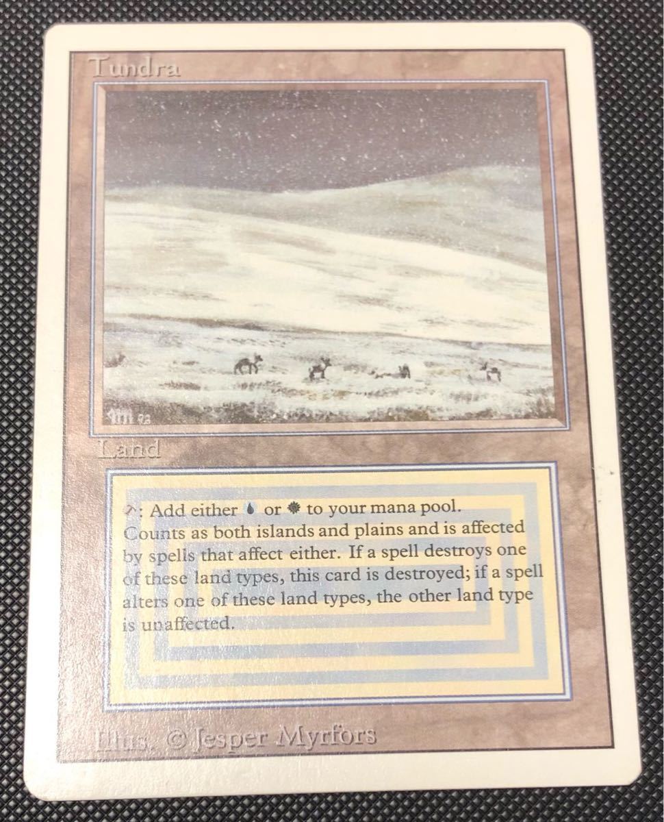 MTG Tundra リバイズド 英語版1枚(土地)｜売買されたオークション情報 